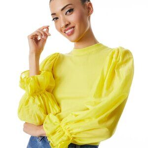 Alice + Olivia Kirie Combination Sleeve Sweater